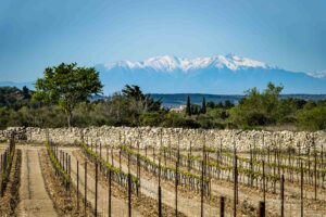 Plateau de Leucate