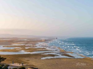 La Franqui, plage des Coussoules