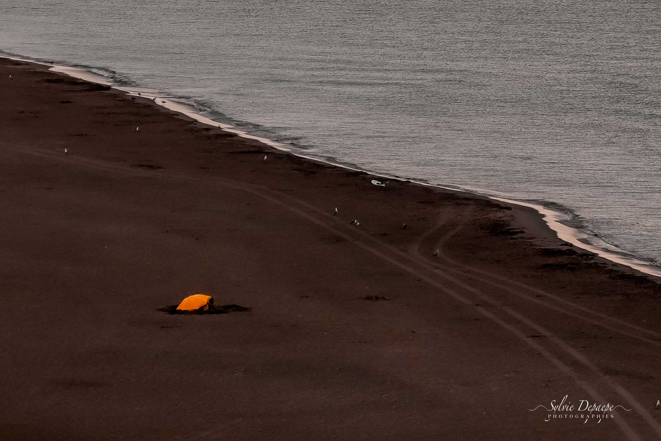Sur la plage abandonnée….